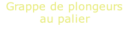 Grappe de plongeurs au palier
