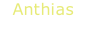 Anthias